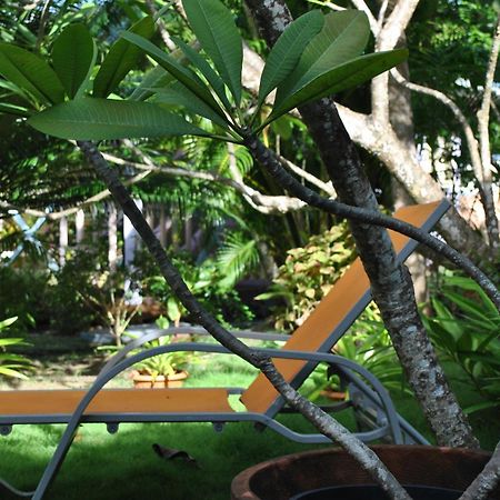 Villa Caribbean Dream Vieux Fort Saint Lucia Esterno foto