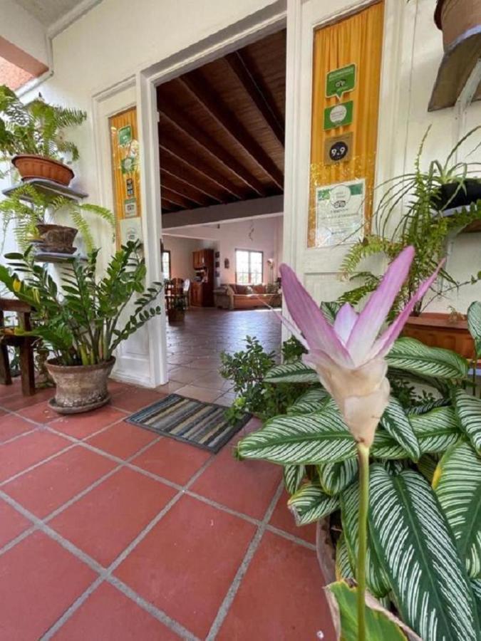 Villa Caribbean Dream Vieux Fort Saint Lucia Esterno foto