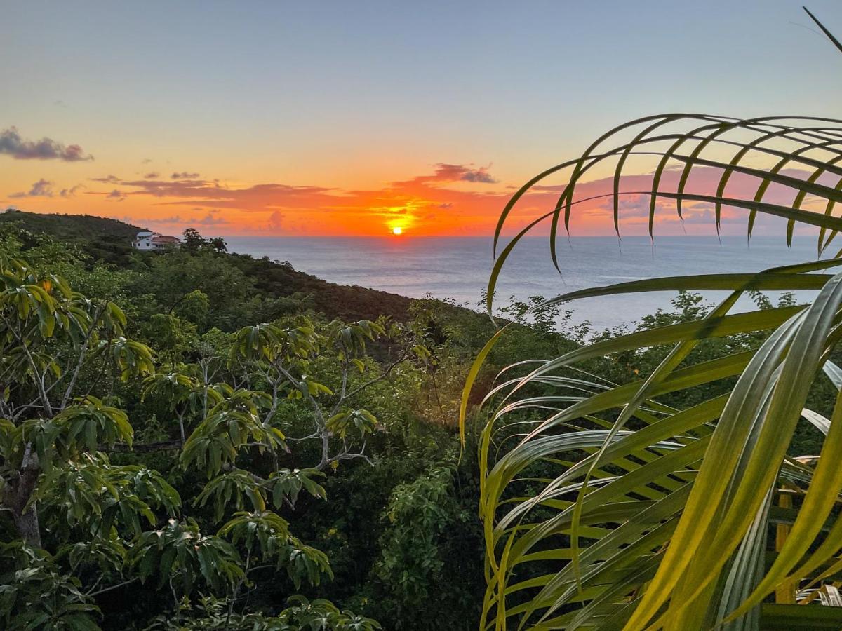 Villa Caribbean Dream Vieux Fort Saint Lucia Esterno foto