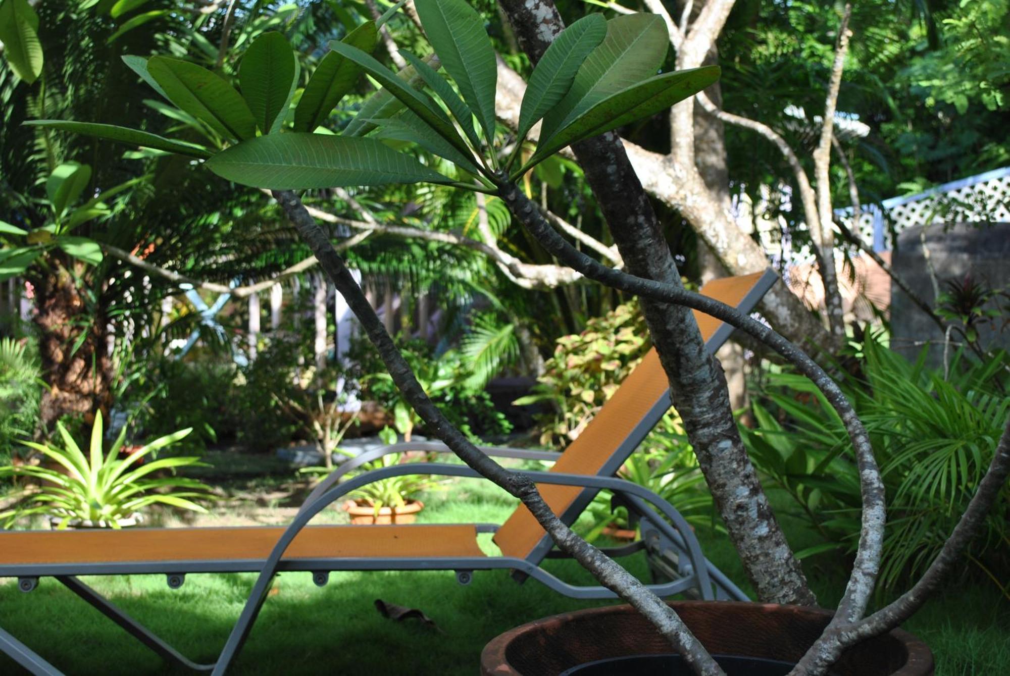 Villa Caribbean Dream Vieux Fort Saint Lucia Esterno foto