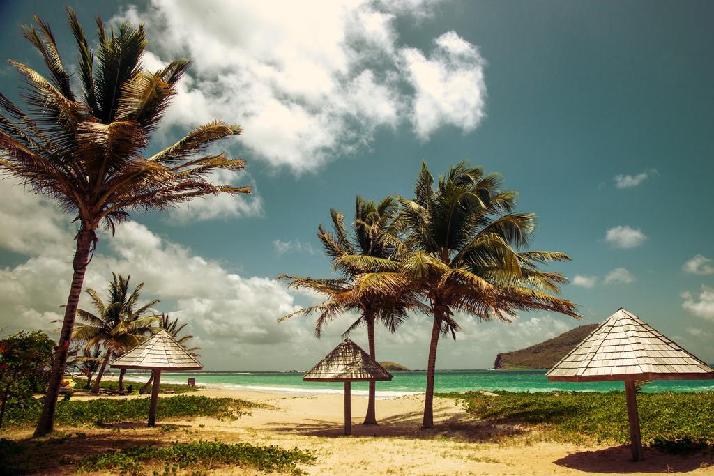 Villa Caribbean Dream Vieux Fort Saint Lucia Esterno foto