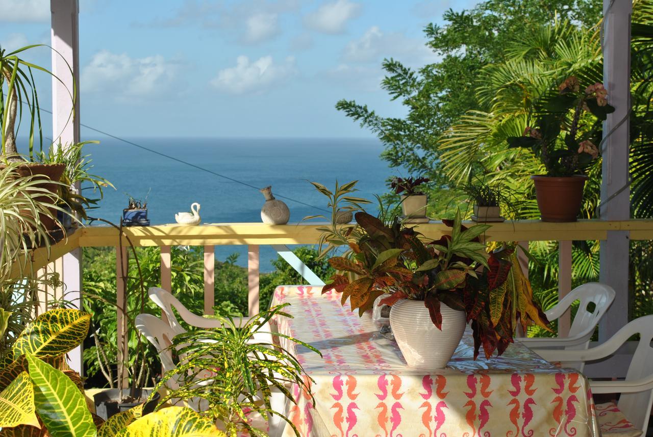 Villa Caribbean Dream Vieux Fort Saint Lucia Esterno foto
